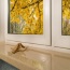 image10